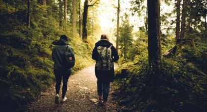 El bosque de 2 mil hectáreas con temazcal, cabañas y miradores para una aventura sin salir de la CDMX