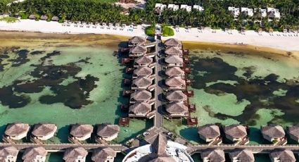 Playa Maroma, el paraíso de Cancún que puedes disfrutar en tus vacaciones