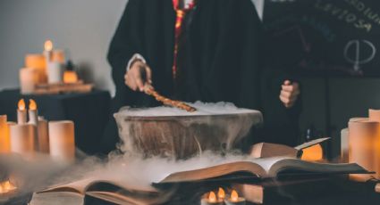 Harry Potter llega al Bosque 'encantado' de Aragón con evento GRATIS