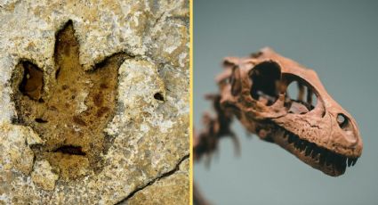 El Pueblo Mágico de Coahuila donde puedes ver huellas de dinosaurio reales