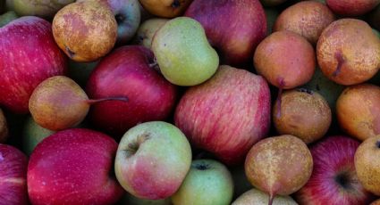 Feria de la Manzana en Zacatlán: la guía para disfrutar este viaje desde CDMX