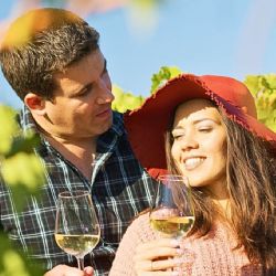 Guanajuato te espera en la temporada de vendimias 2025 para disfrutar aventuras foodies