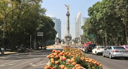 ¿Qué hacer GRATIS en la CDMX el fin del 12 al 14 de septiembre de 2025?