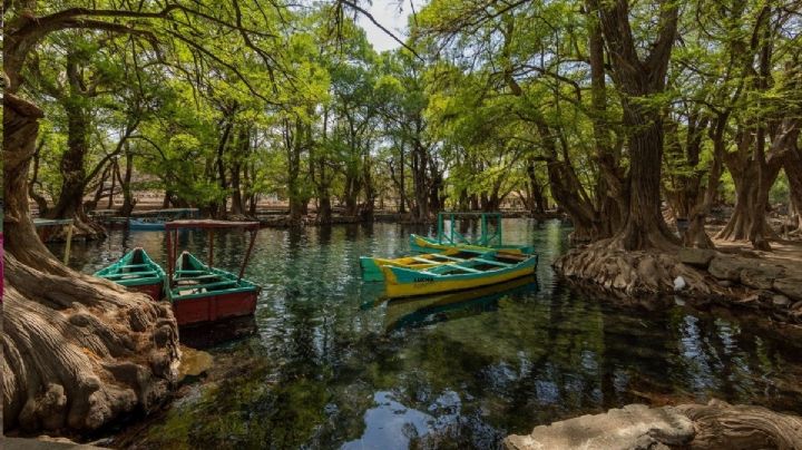 La leyenda de amor que dio vida al lago de Camécuaro, en Michoacán