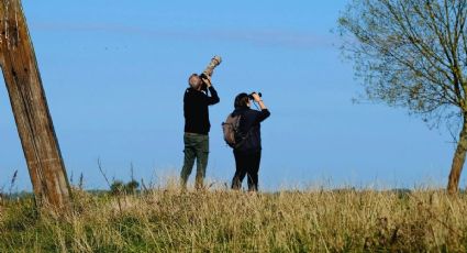 Cerro de la Estrella tendrá recorrido de observación de aves GRATIS y así puedes participar
