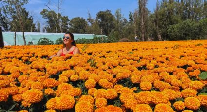 Visita los hermosos campos de cempasúchil de Xochimilco con recorridos en kayak