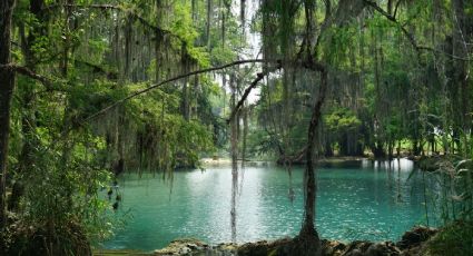Ruta Turquesa en SLP: este es el costo para visitar el paraíso natural