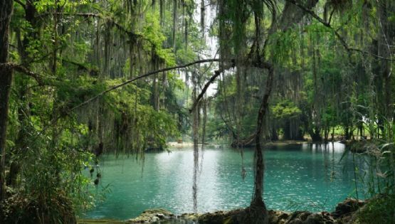 Ruta Turquesa en SLP: este es el costo para visitar el paraíso natural