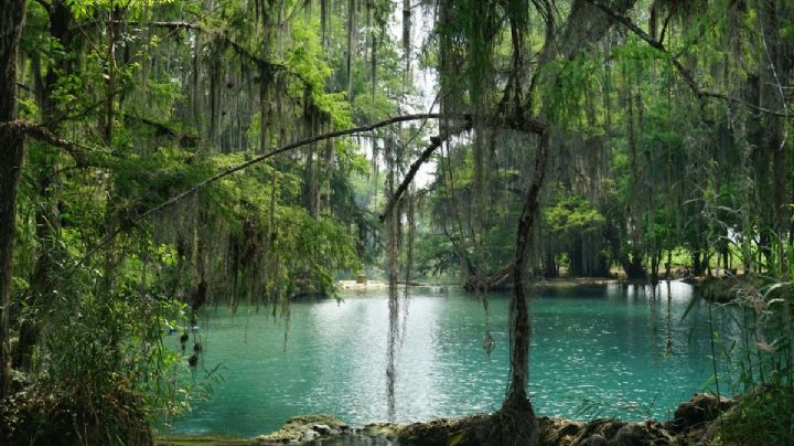 Ruta Turquesa en SLP: este es el costo para visitar el paraíso natural