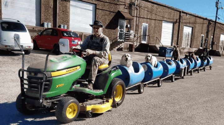 Jubilado de 80 años construyó un tren para sacar a pasear a sus perritos rescatados: VIDEO