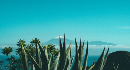 La leyenda del Pueblo Mágico de Jalisco donde nació el tequila y aún se esconden enigmas