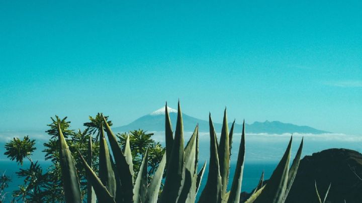La leyenda del Pueblo Mágico de Jalisco donde nació el tequila y aún se esconden enigmas