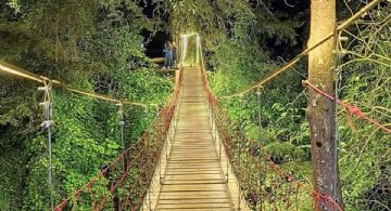 Puentes colgantes en México perfectos para disfrutar los paisajes de otoño
