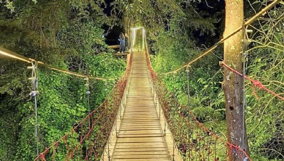Puentes colgantes en México perfectos para disfrutar los paisajes de otoño