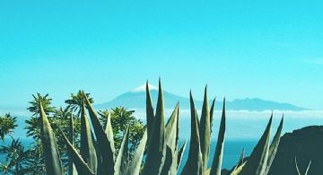 El Pueblo Mágico de Jalisco llamado la capital de la raicilla para disfrutar una bebida de orígen