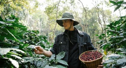 ¿Mucho frío? Los destinos de México con el mejor café para disfrutar en pareja