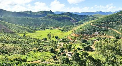 Día del Café: Pueblos Mágicos donde puedes probar las mejores variedades de esta bebida caliente