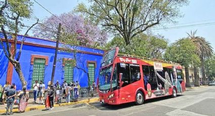 Viajes inolvidables, así son los mejores tours que puedes reservar en la CDMX