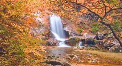 Los mejores destinos para disfrutar del otoño en México, según la IA