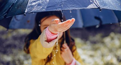 Clima en México: Lluvias intensas, frente frío y calor para mañana 8 de septiembre 2025