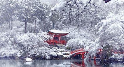 ¿Quieres ir a Japón? TODO lo que necesitas saber para disfrutar los paisajes de enero