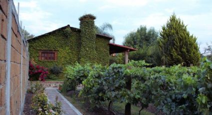 El Pueblo Mágico de Guanajuato con haciendas y antiguas casonas para viajar al pasado