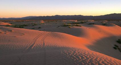 Las Dunas de Bilbao, el destino mexicano con un mar de arena para aventuras diferentes