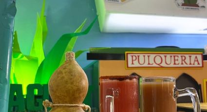 Ruta del Pulque: lugares para probar la bebida de los dioses en CDMX
