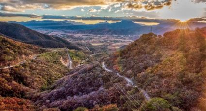 ¡No es Canadá! La ruta del maple que puedes disfrutar en Sonora