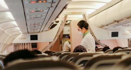 Auxiliar de vuelo convierte comida sobrante de aviones en ayuda para perros sin hogar