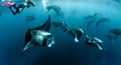 La playa de Baja California Sur para conocer un extrañó fenómeno natural