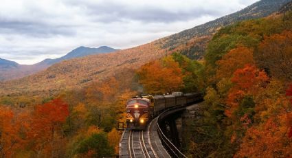 ¿Cuáles serán las NUEVAS rutas de trenes de pasajeros en México?