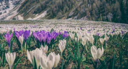 ¿Cómo llegar al Pueblo Mágico de la eterna primavera que no está en Morelos desde CDMX?