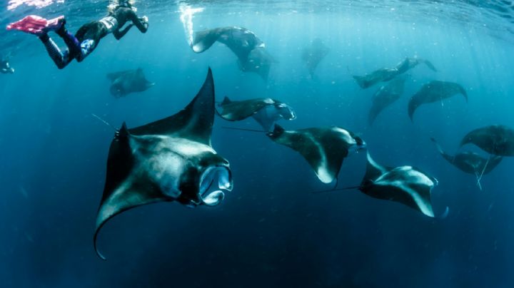 La playa de Baja California Sur para conocer un extrañó fenómeno natural