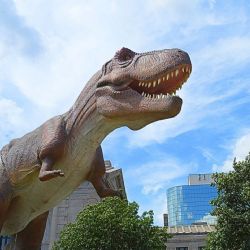 El destino natural de Puebla donde habitaron dinosaurios gigantes, ideal para disfrutar en 2026