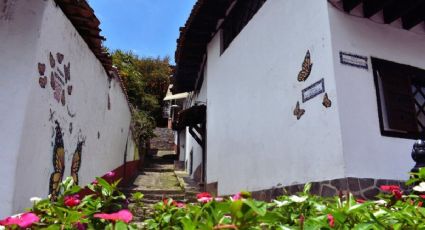 El Pueblo Mágico del Edomex para visitar el Santuario de la Mariposa Monarca el fin de semana