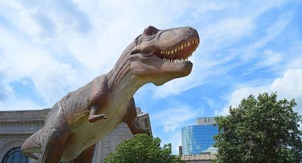 El destino natural de Puebla donde habitaron dinosaurios gigantes, ideal para disfrutar en 2026