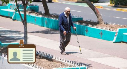 Viajes GRATIS: Así puedes obtener este beneficio con credencial INAPAM en 2026