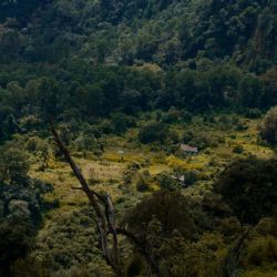 Cómo llegar al Pueblo Mágico más bonito de Puebla con cabañas y cascadas