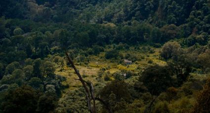 Cómo llegar al Pueblo Mágico más bonito de Puebla con cabañas y cascadas