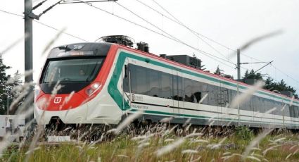 Tren El Insurgente: los avances más recientes y la fecha de llegada a Observatorio
