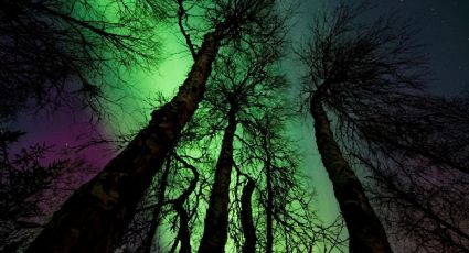 Así serán las auroras boreales que se podrán ver desde México