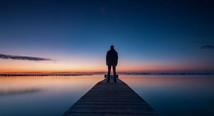 La laguna de Veracruz en la que te perderás entre manglares y fauna silvestre