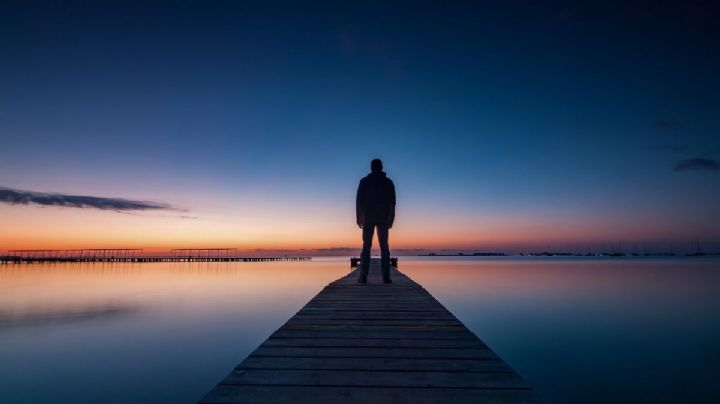 La laguna de Veracruz en la que te perderás entre manglares y fauna silvestre