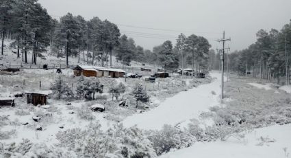 Nevadas en México: Así luce Chihuahua y Durango tras caída de nieve