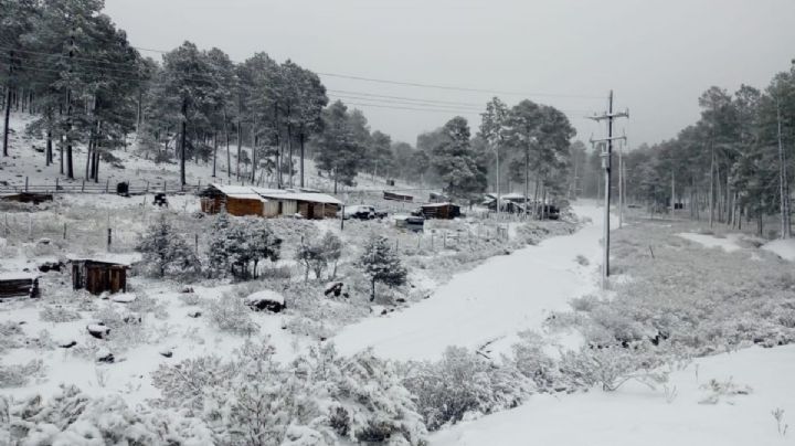 Nevadas en México: Así luce Chihuahua y Durango tras caída de nieve