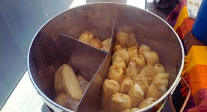 ¿Qué habrá en Toluca el fin de semana para celebrar el Día de la Candelaria?