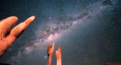 El desierto de México con ‘rascacielos naturales’ y actividades salvajes, perfecto para 2026