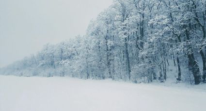 Este es el llamado sendero de Los Osos que dejaron ver las nevadas en Chihuahua