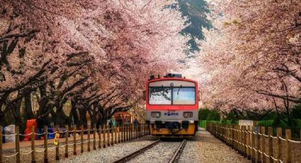 Por estas razones Corea del Sur es de los países más visitados por los mexicanos